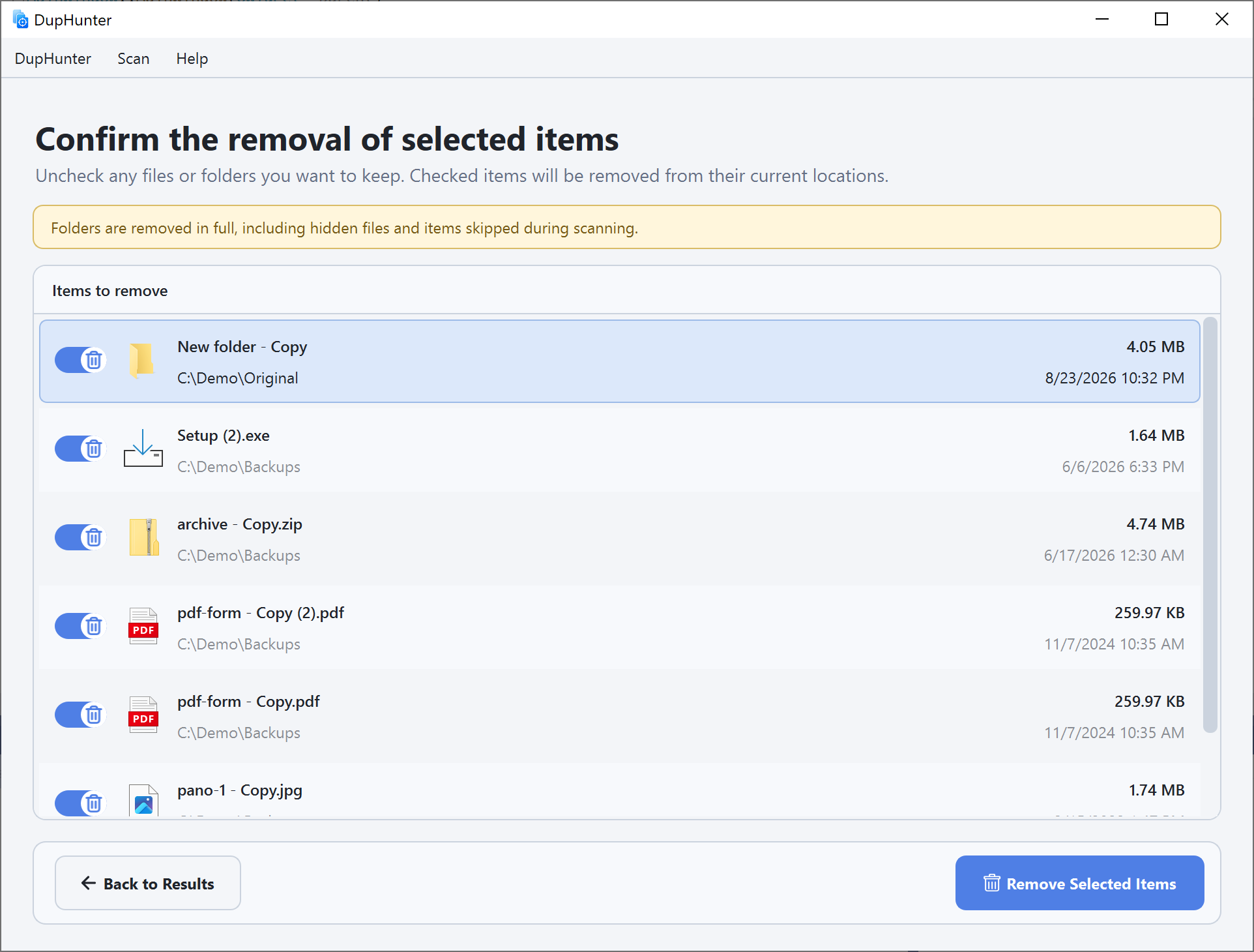 Final review containing a selected duplicate folder and files