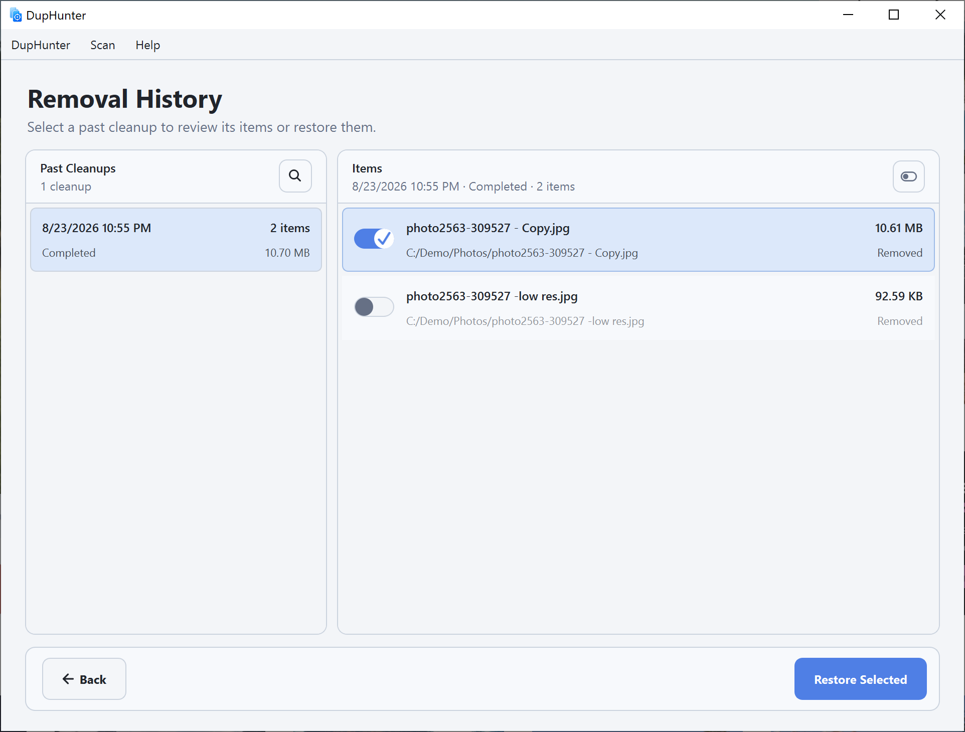 Removal History with two removed items and Restore Selected enabled
